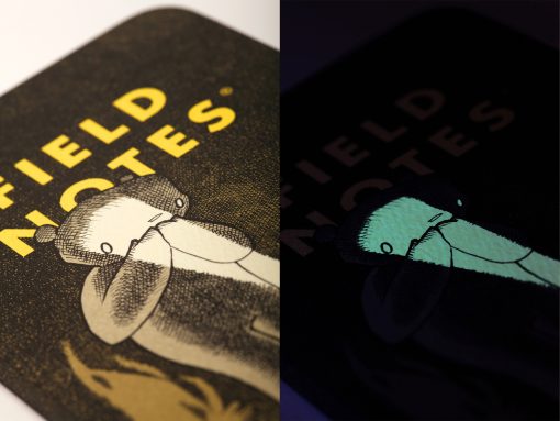 Field Notes Haxley Illustrated Story Book/Sketch Book (64 Pages) Glow In the Dark Side By Side