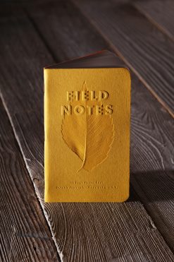 Field Notes Autumn - Ruled Paper Memo Book 3 Pack (48 Pages) Front Side Center With Background